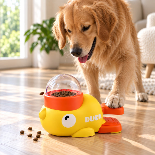 Dog pressing the orange pedal on the puzzle toy as kibble comes out