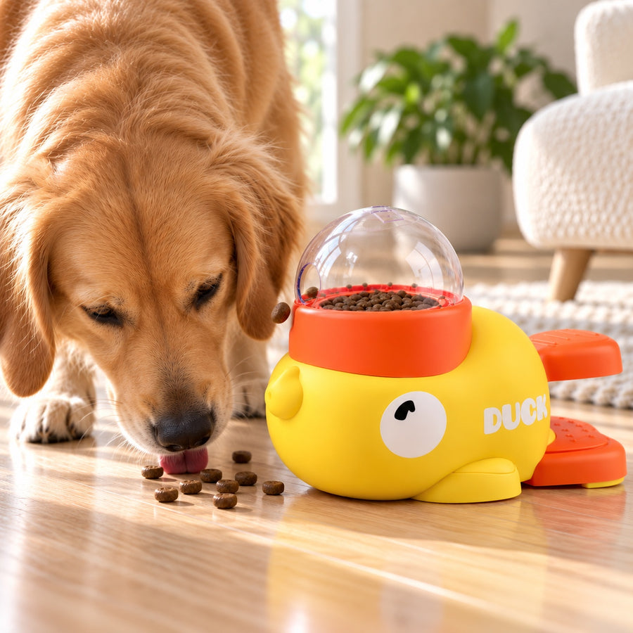 Dog eating the kibble the treat dispenser dropped on the floor next to the toy