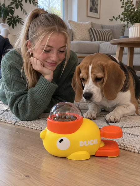 Teenager lying on the rug next to their beagle and the toy