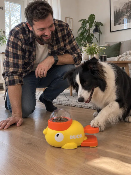 Man laughing at his border collie stepping on the pedal