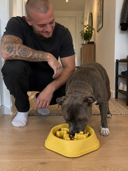 Man in the hallway next to his dog eating from the yellow bowl