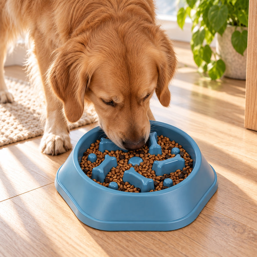 Dog eating slowly from the slow feeder bowl on a wooden floor