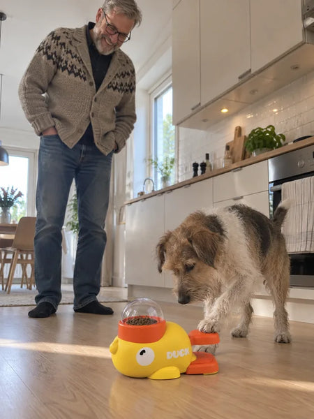 Man in the kitchen while the terrier steps on the pedal